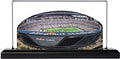 Las Vegas Raiders Allegiant Stadium LED Layered Wood Replica