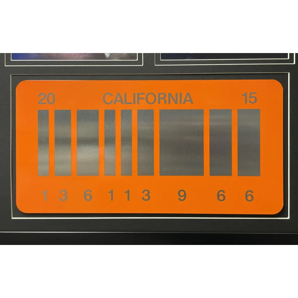 Back to the Future 1 & 2 - DeLorean Double Movie Car License Plate Framed