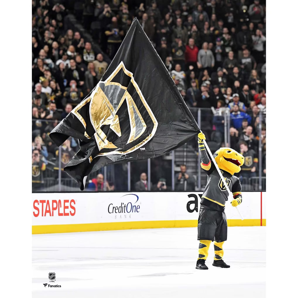 8x10 Photo - Chance VGK Unsigned Waving Flag